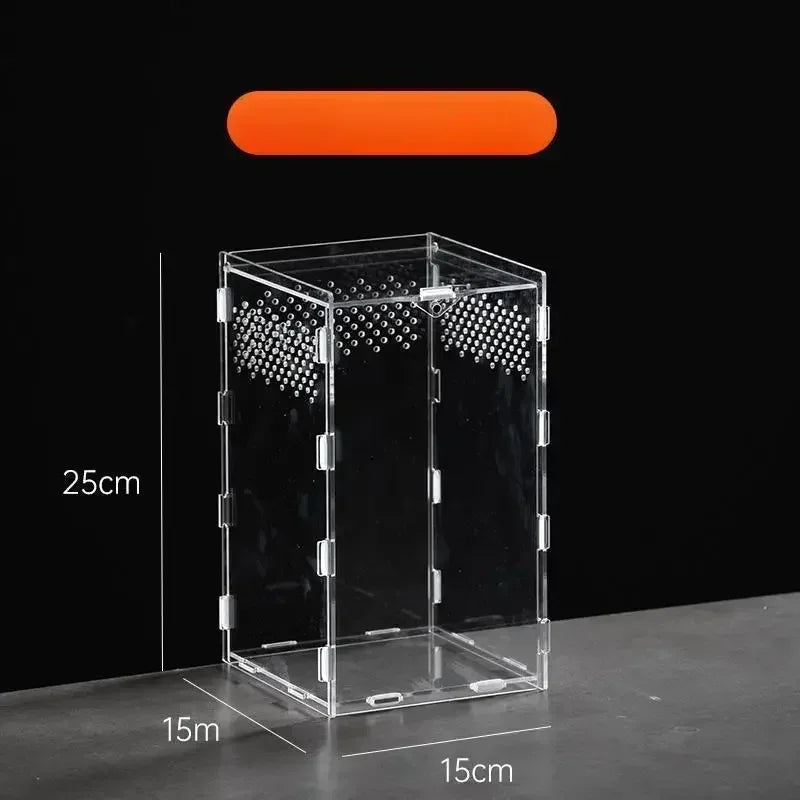 Boite d'alimentation Acrylique Reptile Terrarium