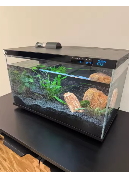 Technologie aquatique par MaisonZenarium. Cet aquarium connecté vise à simplifier la maintenance grâce à son interface de contrôle intégrée. Sa gestion automatisée réduit les contraintes liées aux changements de paramètres et permet de mieux stabiliser l'écosystème pour les poissons et les plantes. Cet équipement offre un niveau de contrôle élevé sur la température et la filtration, garantissant un environnement serein et moderne.