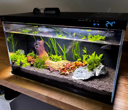 Expérience utilisateur avec l'aquarium MaisonZenarium. Ce modèle intelligent vise à simplifier le suivi des paramètres de l'eau grâce à sa technologie intégrée. Le système automatisé réduit les efforts d'entretien et permet de mieux gérer le cycle d'éclairage pour les plantes et les poissons. Cette solution moderne offre un niveau de contrôle élevé sur l'écosystème aquatique, garantissant un environnement stable et apaisant au quotidien.
