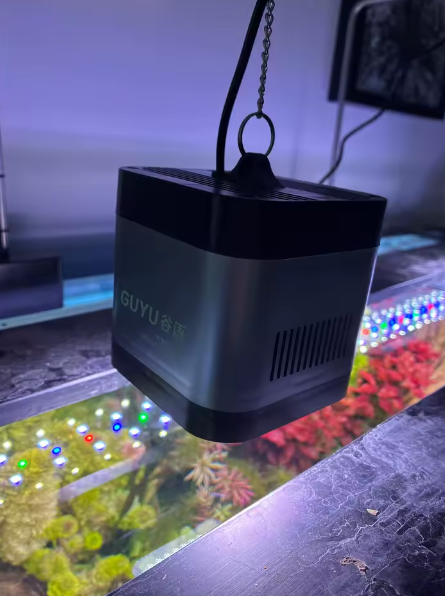 Éclairage haute performance par MaisonZenarium. Cette lampe LED suspendue vise à favoriser la croissance des plantes aquatiques grâce à un spectre lumineux complet. Sa conception optimisée réduit la surchauffe et permet de mieux simuler les variations lumineuses naturelles. Ce luminaire offre un niveau de contrôle élevé sur l'esthétique et la santé de l'écosystème, garantissant un rendu visuel éclatant et professionnel.