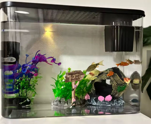 Habitat compact par MaisonZenarium. Ce petit vivarium polyvalent vise à offrir un espace sécurisé pour les jeunes tortues ou petits reptiles. Sa conception épurée réduit l'encombrement tout en intégrant une filtration qui permet de mieux conserver la clarté de l'eau. Ce modèle assure un niveau de contrôle élevé sur la propreté de l'environnement, facilitant ainsi l'entretien quotidien pour un écosystème sain et équilibré.