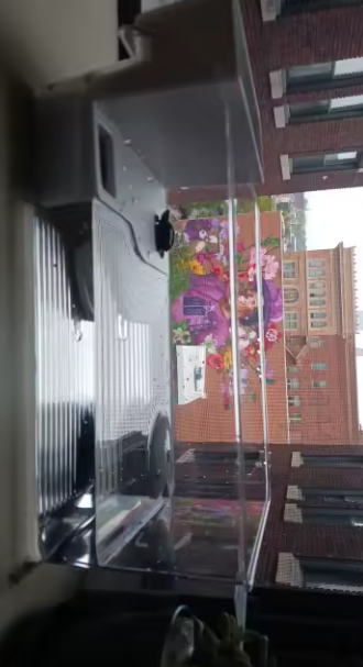 Habitat panoramique par MaisonZenarium. Ce vivarium transparent vise à offrir une visibilité maximale sur votre tortue tout en sécurisant son espace. La structure ergonomique réduit les contraintes d'installation et permet de mieux séparer la zone aquatique de l'espace de repos. Ce modèle assure un niveau de contrôle élevé sur le confort de l'animal, créant un environnement zen parfaitement adapté à ses besoins physiologiques.