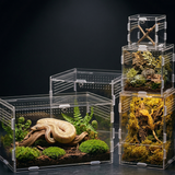 Collection boîtes acrylique transparentes reptile empilées architectural 
fond charcoal sombre dramatique, grande boîte horizontale bas gauche 
python champagne driftwood mousse, moyenne droite gecko crêté mur 
mousse tropical, petite araignée sauteuse yeux vivants, minuscule bébé 
gecko twig, intérieurs lueur ambre-vert jewel, perforations dots 
spotlight razor-thin edges lumière, surface ardoise reflets, format 
JPG 1:1
