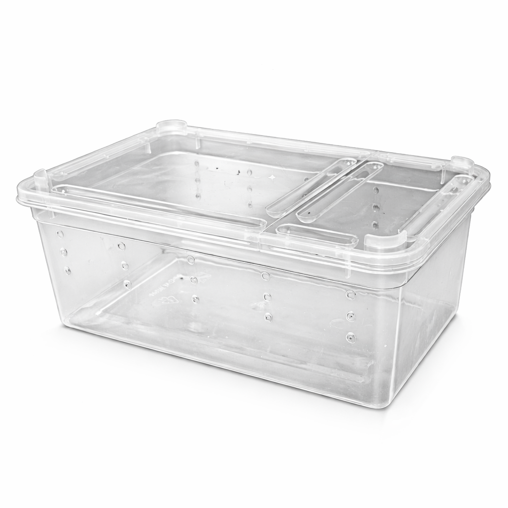 Terrarium en Plastique Transparent pour Petits Reptiles et Insectes
