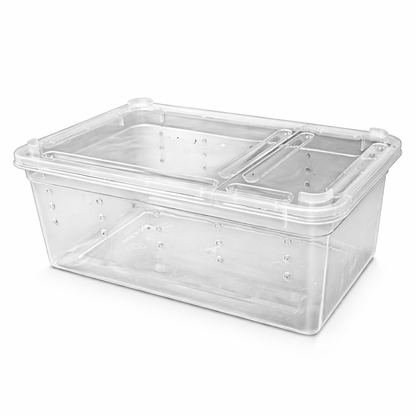 Terrarium en Plastique Transparent pour Petits Reptiles et Insectes