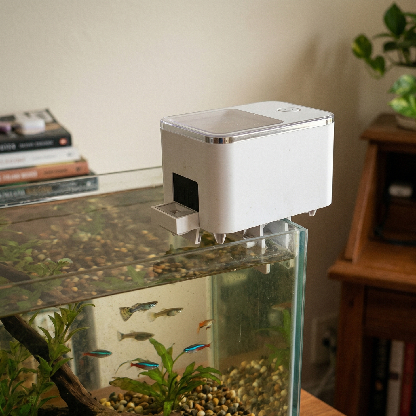 Distributeur automatique nourriture blanc monté aquarium maison réel environnement domestique authentique, aquarium eau naturelle légèrement trouble gravier décorations basiques plantes plastique réalistes bois flotté, poissons tropicaux communs nageant naturellement avec flou mouvement, feeder clipsé rebord aquarium, arrière-plan flou pièce réelle mur beige meuble bois objets domestiques, éclairage naturel fenêtre mixte lumière pièce température couleur réaliste, photographie authentique home camera DSLR s