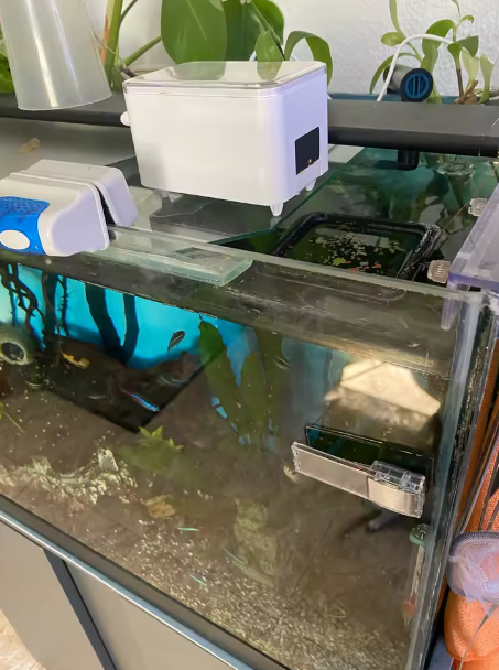 Gestion de l'alimentation par MaisonZenarium. Ce distributeur automatique vise à réguler la distribution des doses pour vos poissons. Son mécanisme réduit les risques de pollution de l'eau liés au surdosage et permet de mieux maintenir une routine alimentaire stable. Cet accessoire offre un niveau de contrôle élevé sur la nutrition de votre écosystème aquatique, même en votre absence.