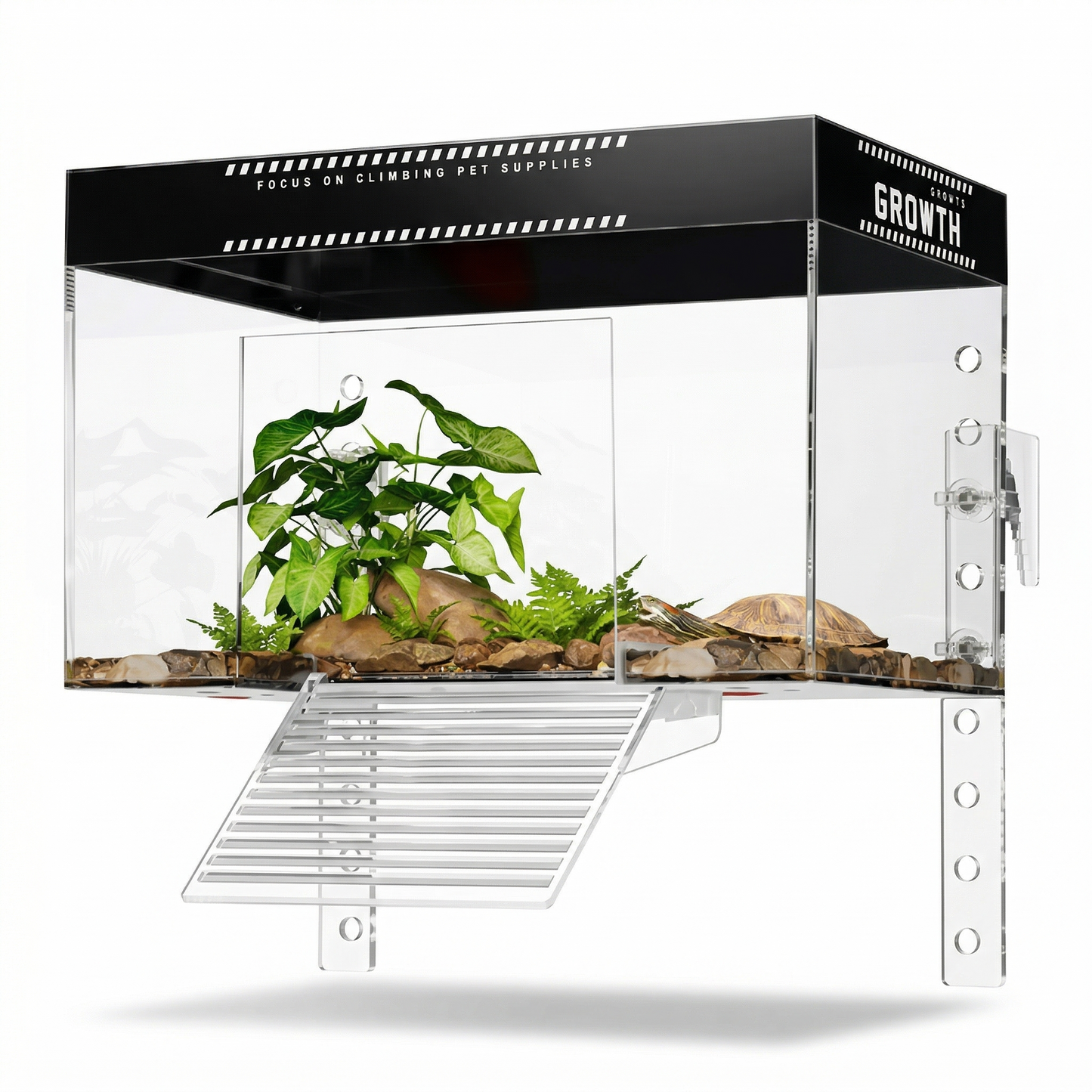 Mini Terrarium en Verre Premium pour Tortue avec Zone de Séchage et Rampe Antidérapante
