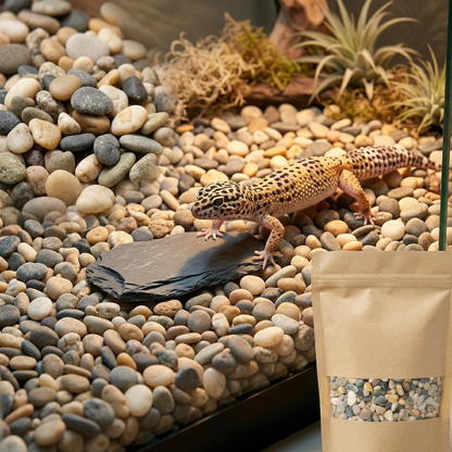 Sachet kraft gravier naturel posé côté terrarium setup, intérieur 
galets mixtes gris beige crème blanc couvre-sol rivière naturelle, 
gecko léopard marchant naturellement pierres pieds entre galets, 
ardoise plate reposoir, macro zone galets sharp variété tailles couleurs 
spectaculaire lumière chaude, sachet kraft connexion produit résultat, 
format JPG 1:1