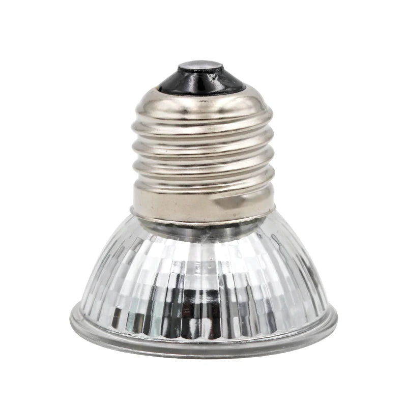 Lampe Chauffante pour Reptile