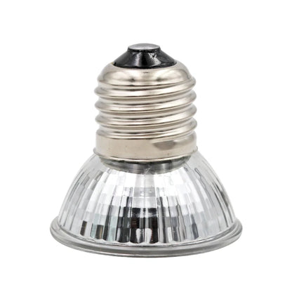 Lampe Chauffante pour Reptile