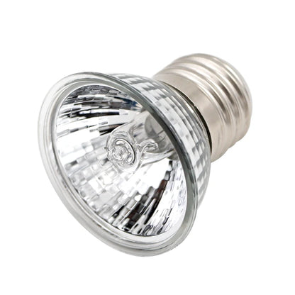 Lampe Chauffante pour Reptile