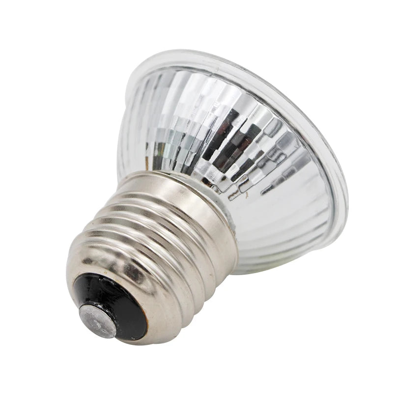 Lampe Chauffante pour Reptile
