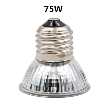 Lampe Chauffante pour Reptile