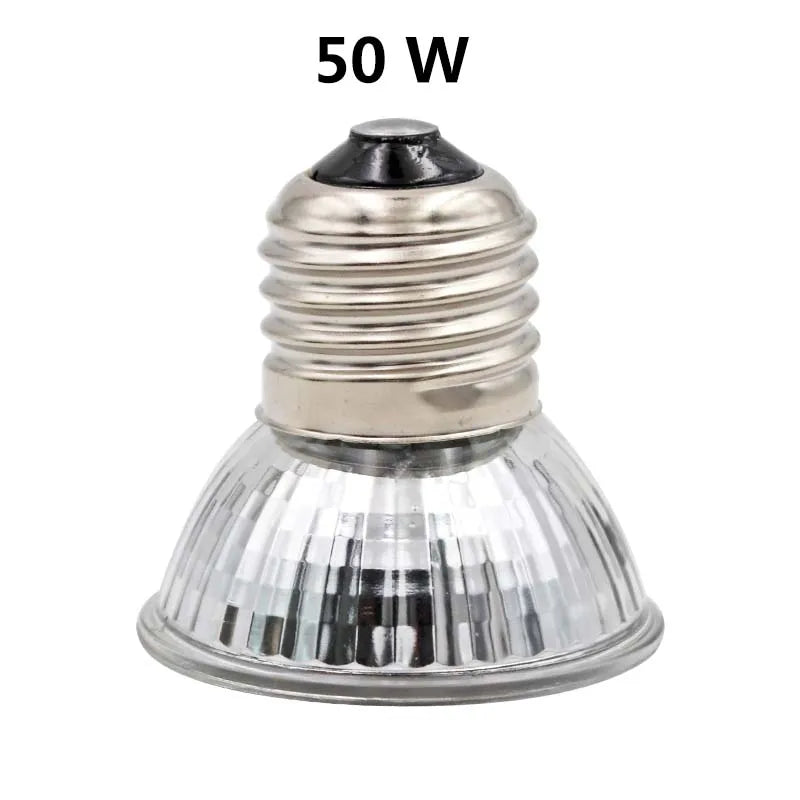 Lampe Chauffante pour Reptile