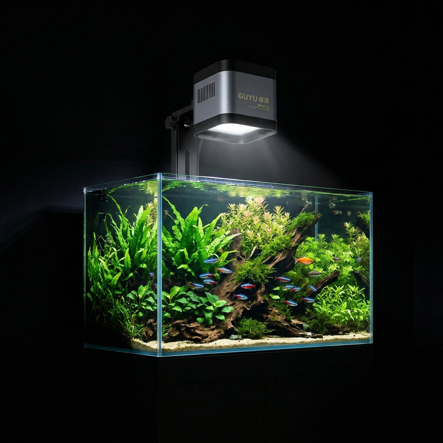 Aquarium planté brillamment illuminé par LED  WRGB II dans pièce totalement noire, contraste dramatique spectaculaire entre aquarium éclatant de lumière et obscurité environnante complète, plantes aquatiques vertes vibrantes, poissons tropicaux colorés (néons bleus électriques, cardinaux rouges) visibles clairement, caustics lumineuses dansant sur substrat, reflets scintillants surface eau, LED seule source lumineuse créant effet projecteur puissant, ambiance cinématique low-key haute contraste, démonst
