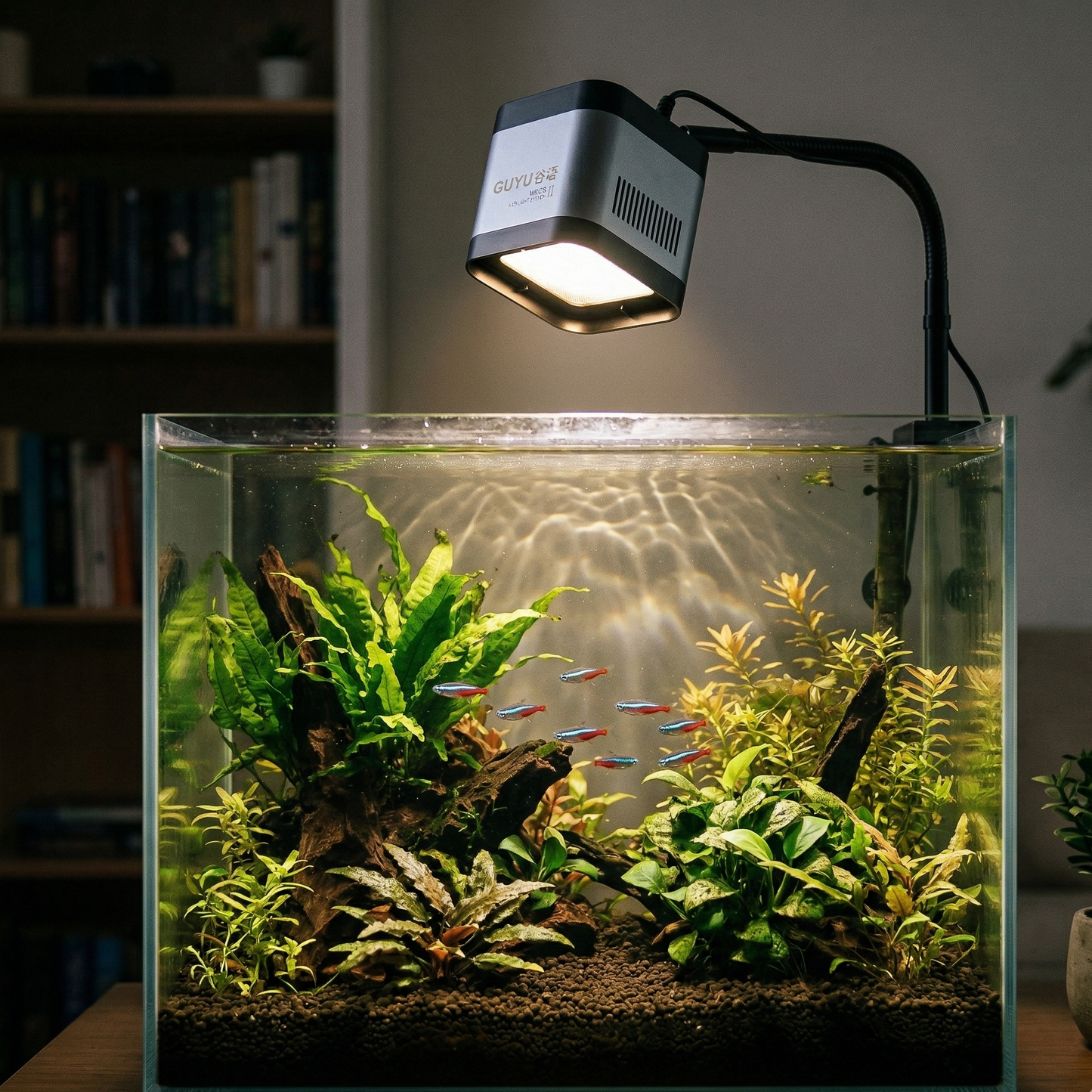 Système LED GUYU WRGB II monté sur bracket orienté vers le bas illuminant aquarium planté réaliste d'intérieur avec plantes aquatiques naturelles (fougères java, anubias), petits poissons tropicaux, substrat sombre, éclairage LED dirigé dans l'eau créant illumination uniforme naturelle, photographié dans environnement domestique authentique ambiance tamisée, style photographie aquariophilie réaliste, format JPG carré 1:1