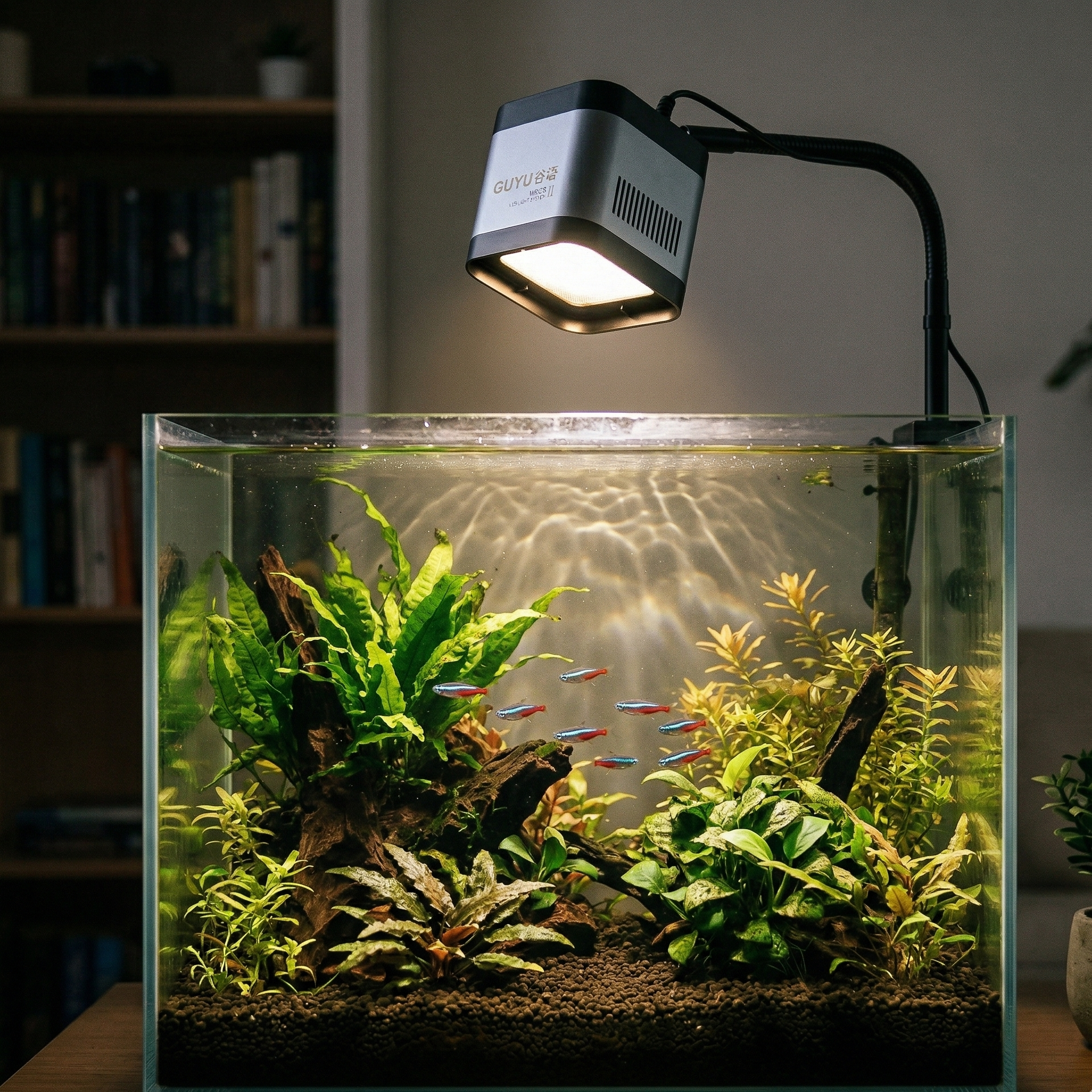 Système LED GUYU WRGB II monté sur bracket orienté vers le bas illuminant aquarium planté réaliste d'intérieur avec plantes aquatiques naturelles (fougères java, anubias), petits poissons tropicaux, substrat sombre, éclairage LED dirigé dans l'eau créant illumination uniforme naturelle, photographié dans environnement domestique authentique ambiance tamisée, style photographie aquariophilie réaliste, format JPG carré 1:1