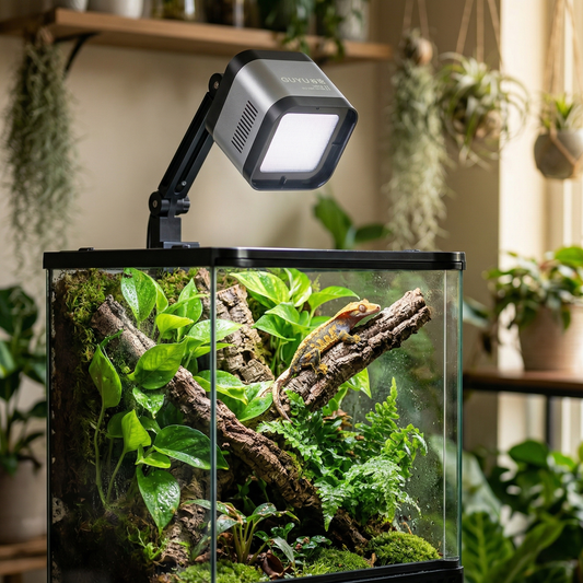 Système LED GUYU WRGB II gris monté sur bracket noir au-dessus terrarium tropical aménagé avec gecko coloré, plantes vertes luxuriantes, branches liège et mousse, LED allumé diffusant lumière blanche douce, environnement intérieur tropical avec plantes suspendues en arrière-plan flou, format JPG carré 1:1