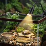 Lampe UVB/UVA pour reptile avec support à pince et col de cygne réglable, simulant la lumière solaire dans un terrarium.