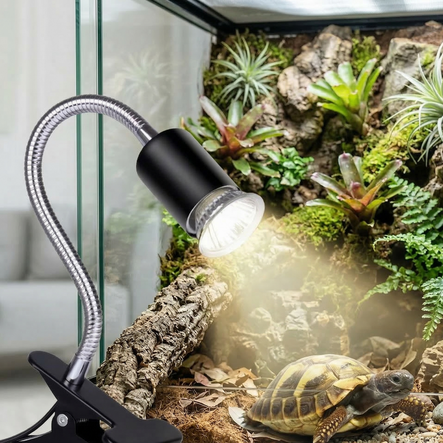 Lampe chauffante noire à pince pour terrarium avec bras flexible éclairant une tortue de terre.