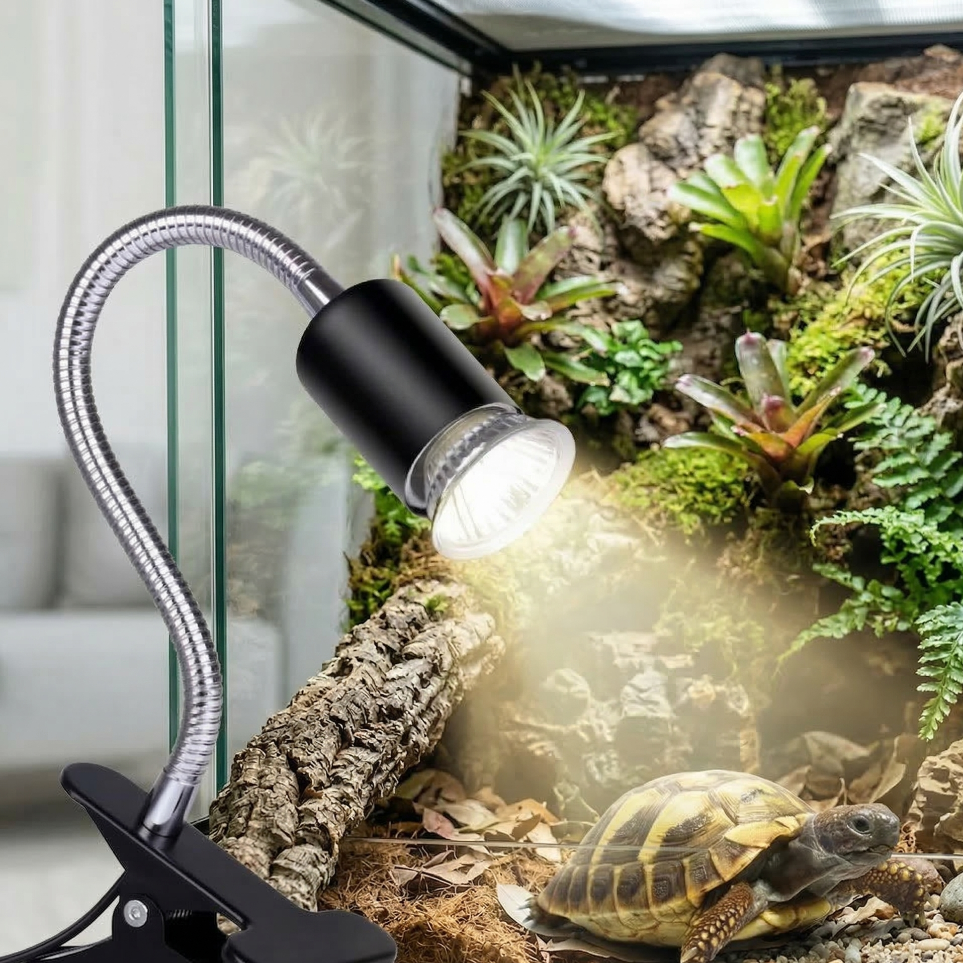 Lampe chauffante noire à pince pour terrarium avec bras flexible éclairant une tortue de terre.