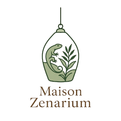 Logo MaisonZenarium avec un décor transparents 