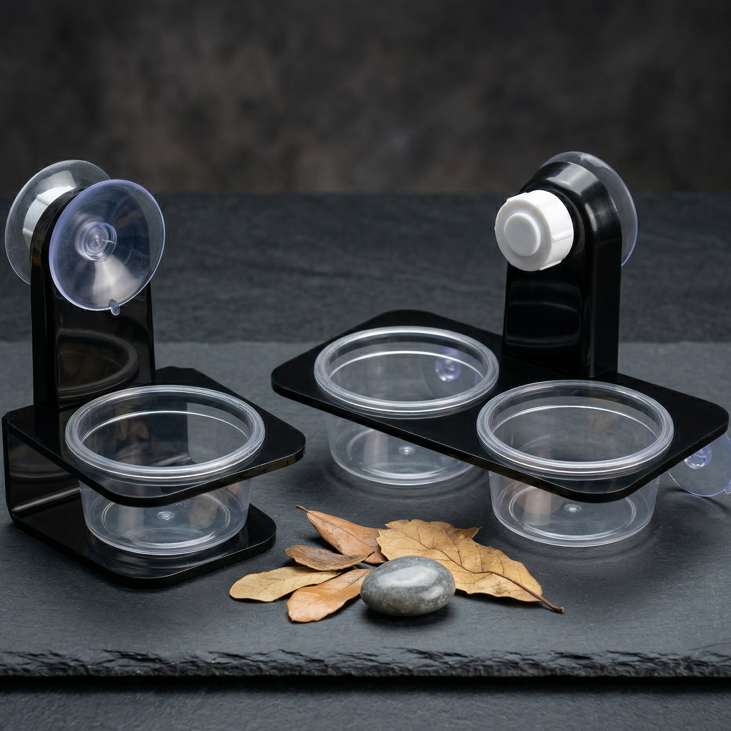 Deux mangeoires reptile ventouse côte à côte comparaison, modèle 
simple un bol gauche et modèle double deux bols droite, même design 
noir mat ventouse blanche transparent, surface ardoise sombre feuilles 
séchées galet entre deux, éclairage studio professionnel égal, 
format PNG 1:1