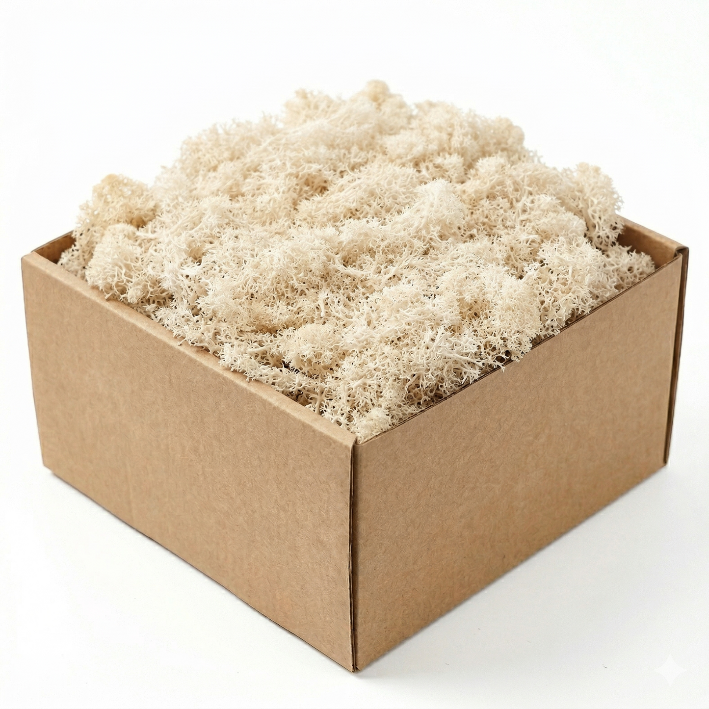 Boîte carton kraft mousse artificielle décorative blanche crème douce, 
clusters mousseux texture organique tons crème pâle délicats, fond 
blanc studio ombre subtile séparation produit visible, éclairage 
professionnel, format JPG 1:1