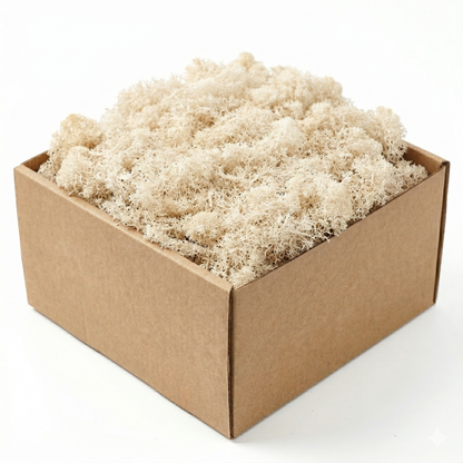 Boîte carton kraft mousse artificielle décorative blanche crème douce, 
clusters mousseux texture organique tons crème pâle délicats, fond 
blanc studio ombre subtile séparation produit visible, éclairage 
professionnel, format JPG 1:1