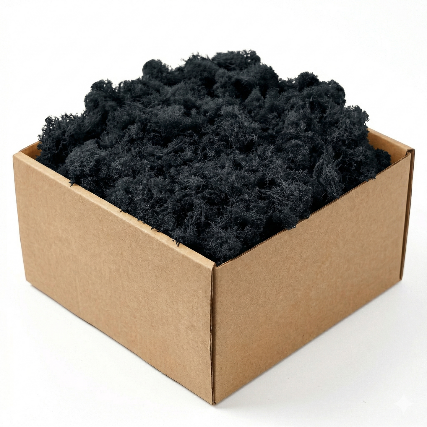 Boîte carton kraft mousse artificielle décorative noire profonde mate, 
clusters mousseux texture organique tons noir dramatique, contraste 
fort fond blanc studio éclairage professionnel texture visible, 
format JPG 1:1