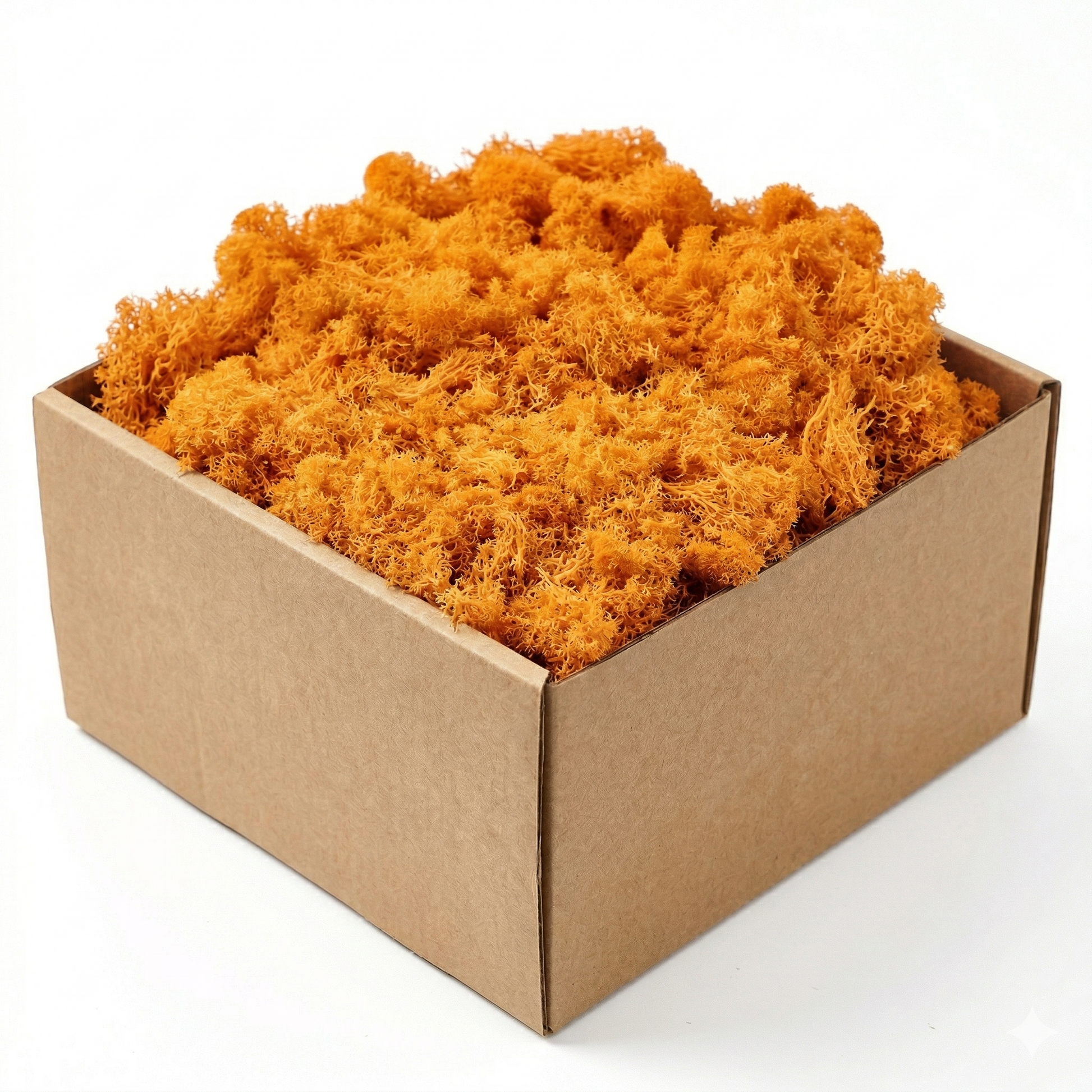 Boîte carton kraft mousse artificielle décorative orange vif saturé 
chaud, clusters mousseux texture organique tons orange riches, fond 
blanc studio éclairage professionnel couleur vibrante non délavée, 
format JPG 1:1