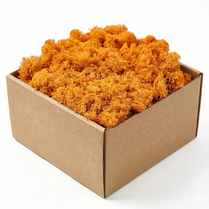 Boîte carton kraft mousse artificielle décorative orange vif saturé 
chaud, clusters mousseux texture organique tons orange riches, fond 
blanc studio éclairage professionnel couleur vibrante non délavée, 
format JPG 1:1