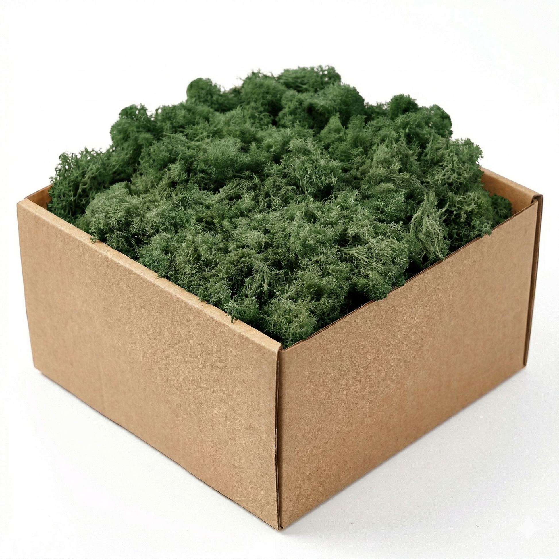 Boîte carton kraft mousse artificielle décorative vert foncé forêt 
profond riche, clusters mousseux texture organique tons vert forêt 
luxuriant, fond blanc studio éclairage professionnel profondeur couleur 
visible, format JPG 1:1