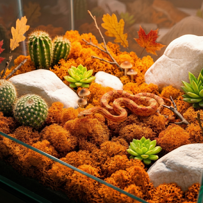 Mousse artificielle orange vif couvre-sol terrarium forêt automnale, 
branches séchées feuilles automne pressées verre champignons décoratifs, 
couleuvre orange rouge lovée mousse orangée harmonie couleurs camouflage, 
lumière ambre automne mousse brillante feu, format JPG 1:1