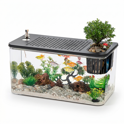 Petit terrarium rectangulaire transparent à double fonction pour reptiles et poissons, avec couvercle noir ventilé à grille et espace plantation intégré sur le dessus, photographié sur fond blanc professionnel avec éclairage studio doux, format carré 1:1