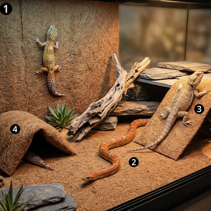 Terrarium large vue 3/4 fibre végétale naturelle coco quatre usages 
simultanés, gauche paroi verticale gecko léopard camouflé tête levée, 
centre sol plat couleuvre corn snake diagonal écailles harmonie fibres, 
droite rampe inclinée dragon barbu mi-escalade griffes traction parfaite, 
coin cachette mat plié entrée cave ombre sécurité queue gecko disparaissant, 
même texture brune organique unifiant quatre zones naturellement, 
lumière terrarium gradient chaud froid, format JPG 1:1