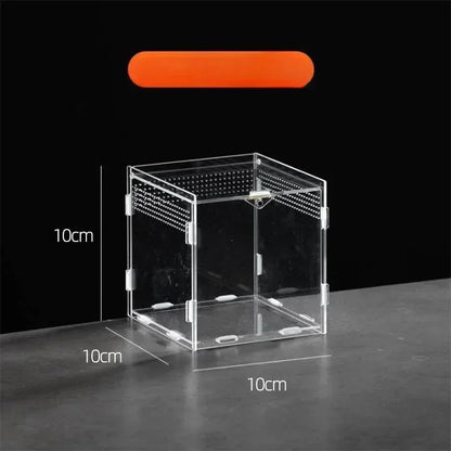 Boite d'alimentation Acrylique Reptile Terrarium