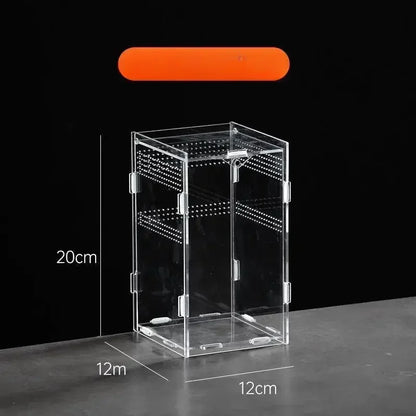 Boite d'alimentation Acrylique Reptile Terrarium