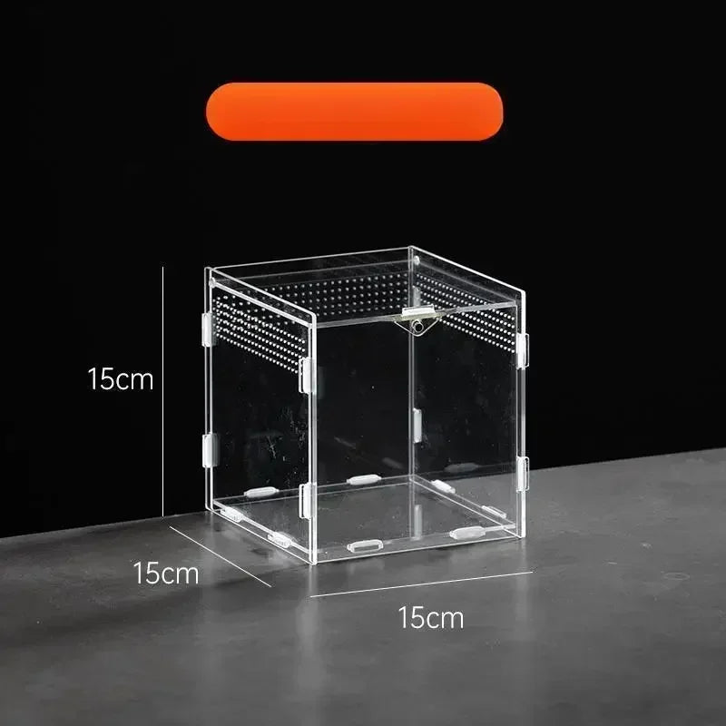 Boite d'alimentation Acrylique Reptile Terrarium