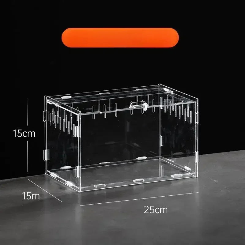 Boite d'alimentation Acrylique Reptile Terrarium