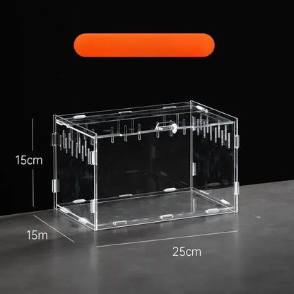 Boite d'alimentation Acrylique Reptile Terrarium