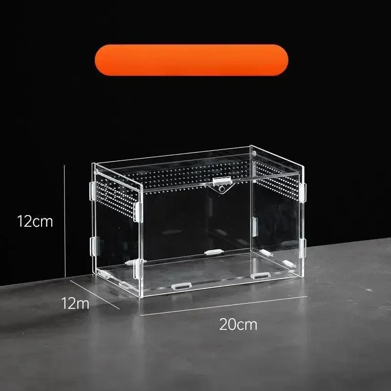 Boite d'alimentation Acrylique Reptile Terrarium