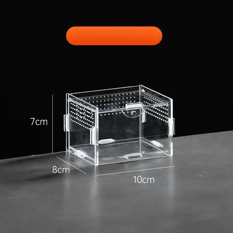 Boite d'alimentation Acrylique Reptile Terrarium