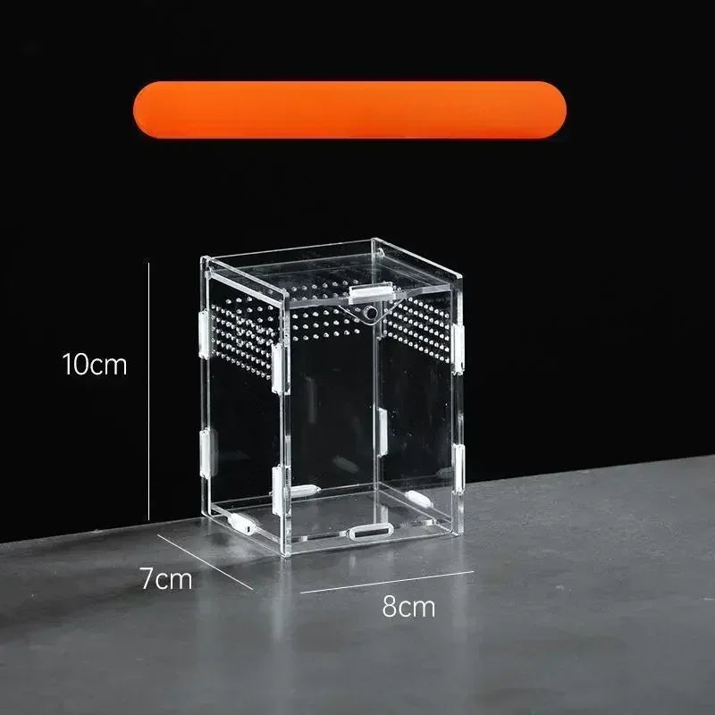 Boite d'alimentation Acrylique Reptile Terrarium
