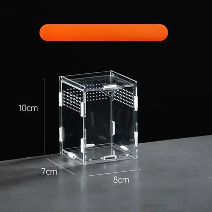 Boite d'alimentation Acrylique Reptile Terrarium