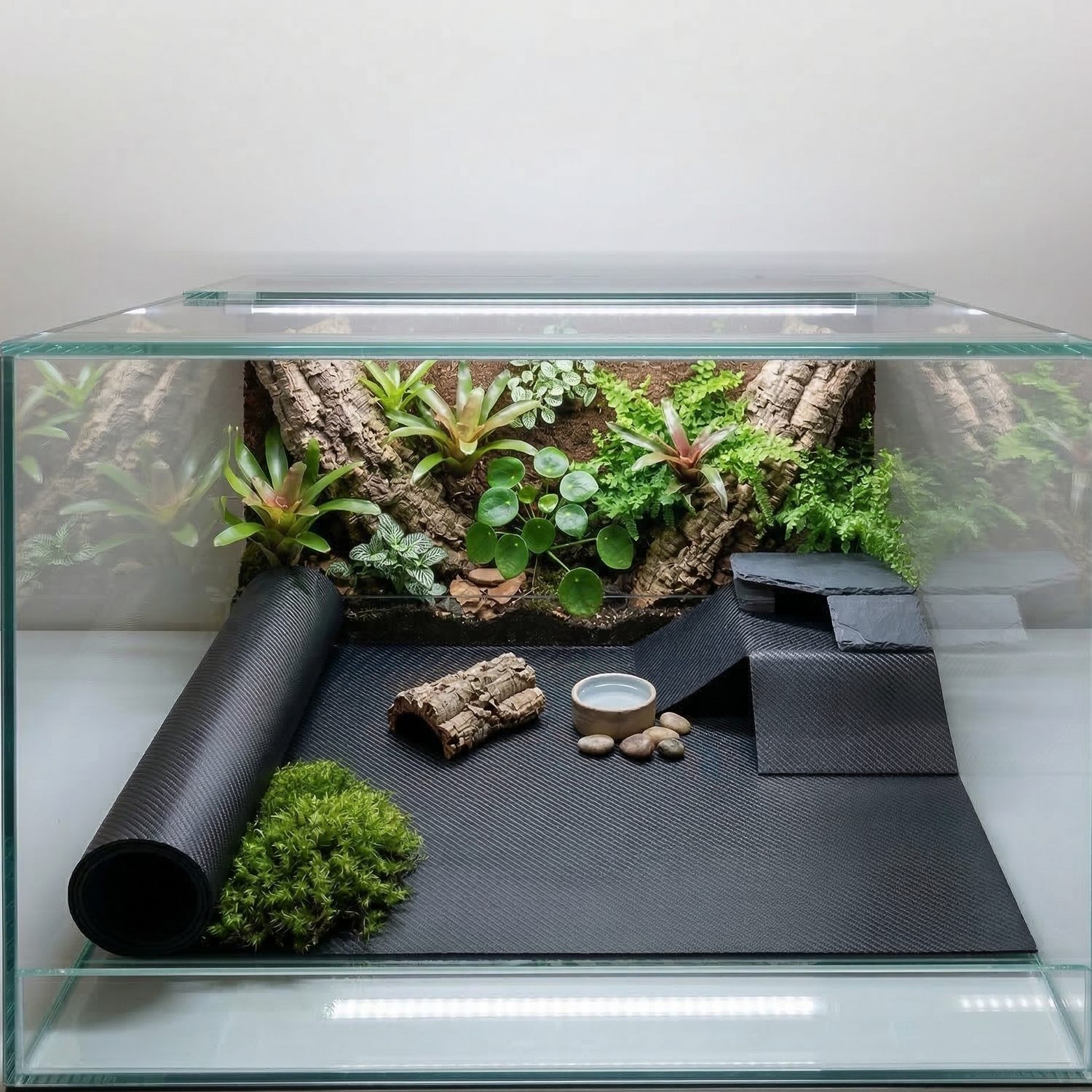 Tapis de terrarium dans un terrarium avec different compartiment 