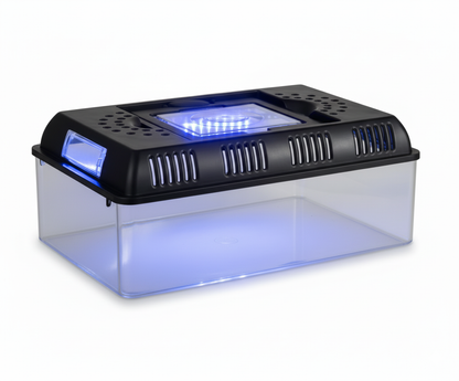 Terrarium LED transparent haute qualité pour reptiles sur fond blanc – ventilation optimale et lumière intégrée.