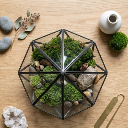 Vue plongeante flat lay terrarium géométrique diamant centré sur chêne 
blanc chaud, point géométrique dessus visible facettes verre mousse 
intérieure, galets gris eucalyptus séché vase céramique blanc mousse 
ball cristal quartz géode coupe-papier laiton autour, ombre géométrique 
cadre métal surface chêne design element, lumière naturelle diffuse 
overhead, format PNG 1:1