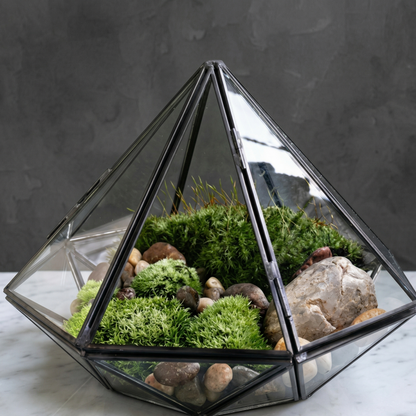 Terrarium géométrique diamant verre clair cadre métal noir mat précis, 
facettes géométriques multiples, intérieur mousse verte vibrante 
galets rivière pierre quartz cristal bois flotté, fond blanc marbre 
poli éclairage joaillerie qualité, facettes verre lumière différente 
profondeur, format JPG 1:1